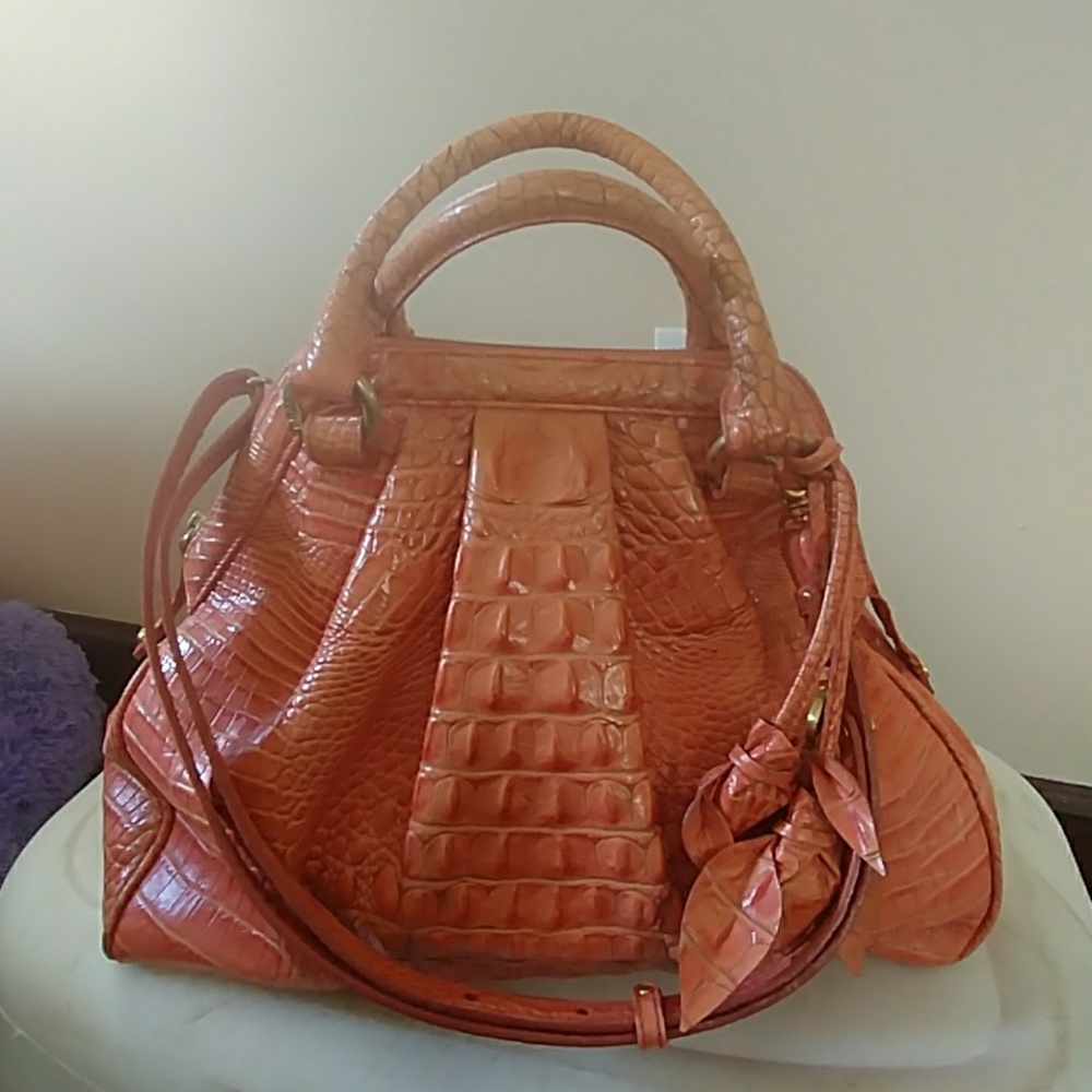 Beautiful coral Brahmin